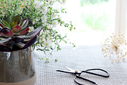 Good Vibes, Summer Dining | Stock, a Food & Drink Photo by Chalking Up Stock (Thumbnail 4 of 16)