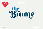Brume Font, a Serif Font by creativemedialab (Thumbnail 1 of 12)