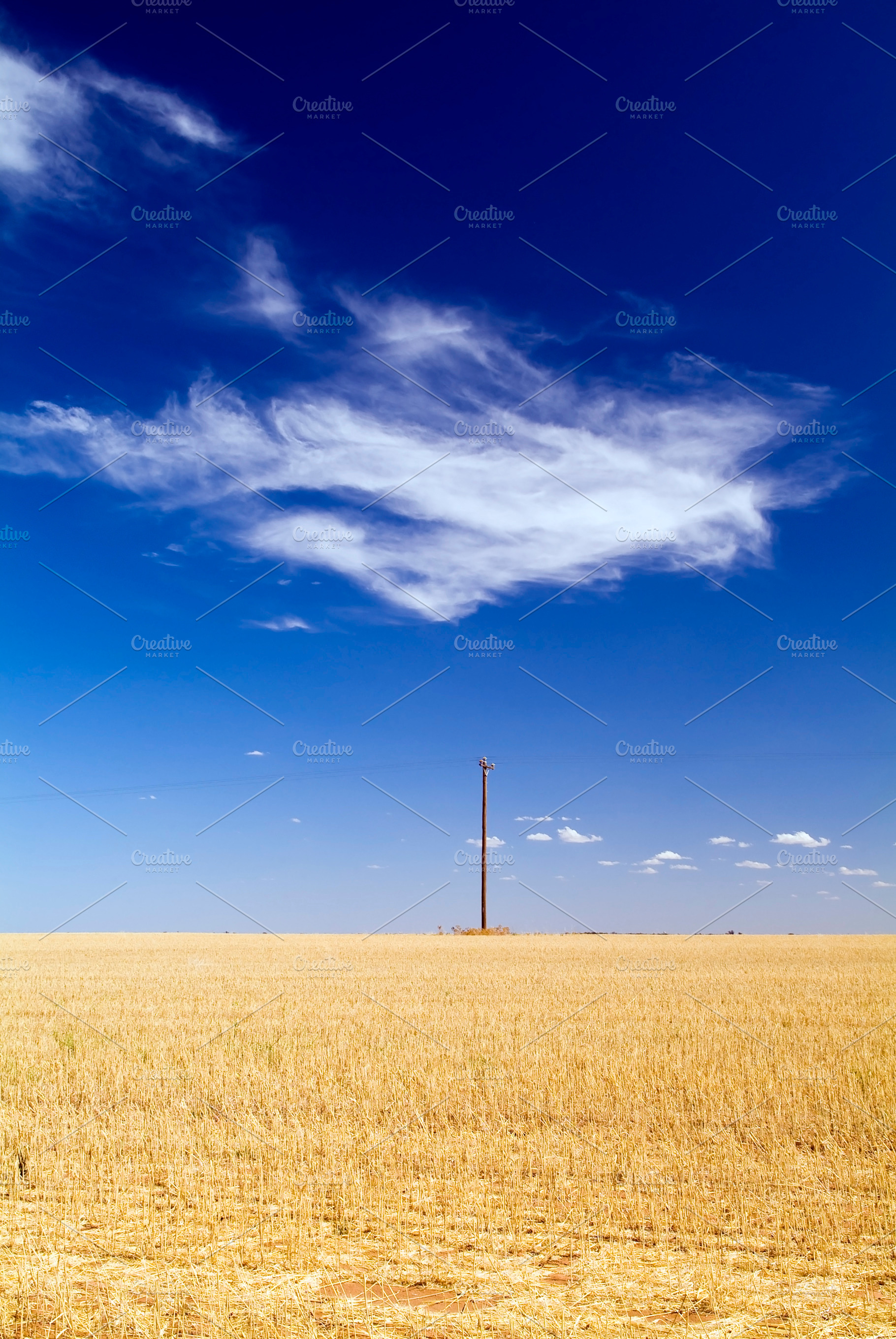 Open Field with Electricity Pole, a Nature Photo by THP Creative