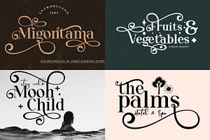 The 2021 Elegant BUNDLE-12 Typefaces