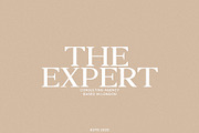 Epiphany - Semi-Expanded Serif, a Serif Font by Schrifted Type (Thumbnail 2 of 8)