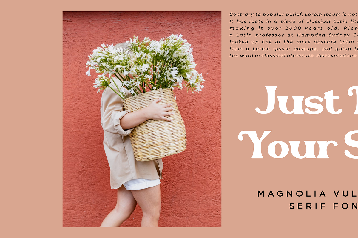 Magnolia Vulgaris, a Serif Font by elevencreateam (Photo 4 of 8)