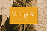 Cherla – Chic Serif Font, a Serif Font by Prioritype Co (Thumbnail 5 of 11)