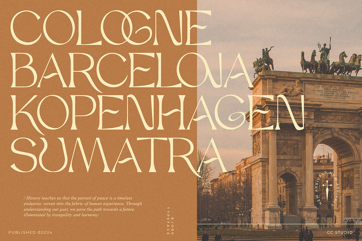 Bjork Serif, a Serif Font by CCS-Type.com (Photo 15 of 30)