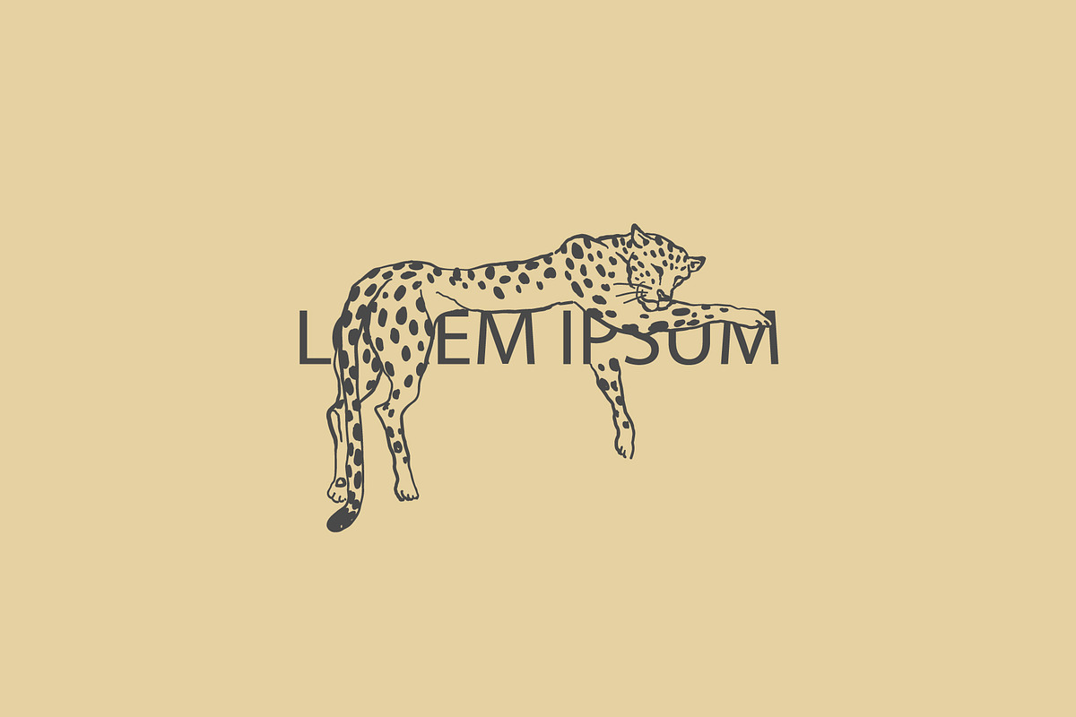 Jungle Cat Sketches, an Icon by Anastasiya Klempach (Photo 5 of 10)