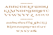 Yasiroh - Modern Serif Font, a Serif Font by Sronstudio (Thumbnail 2 of 19)