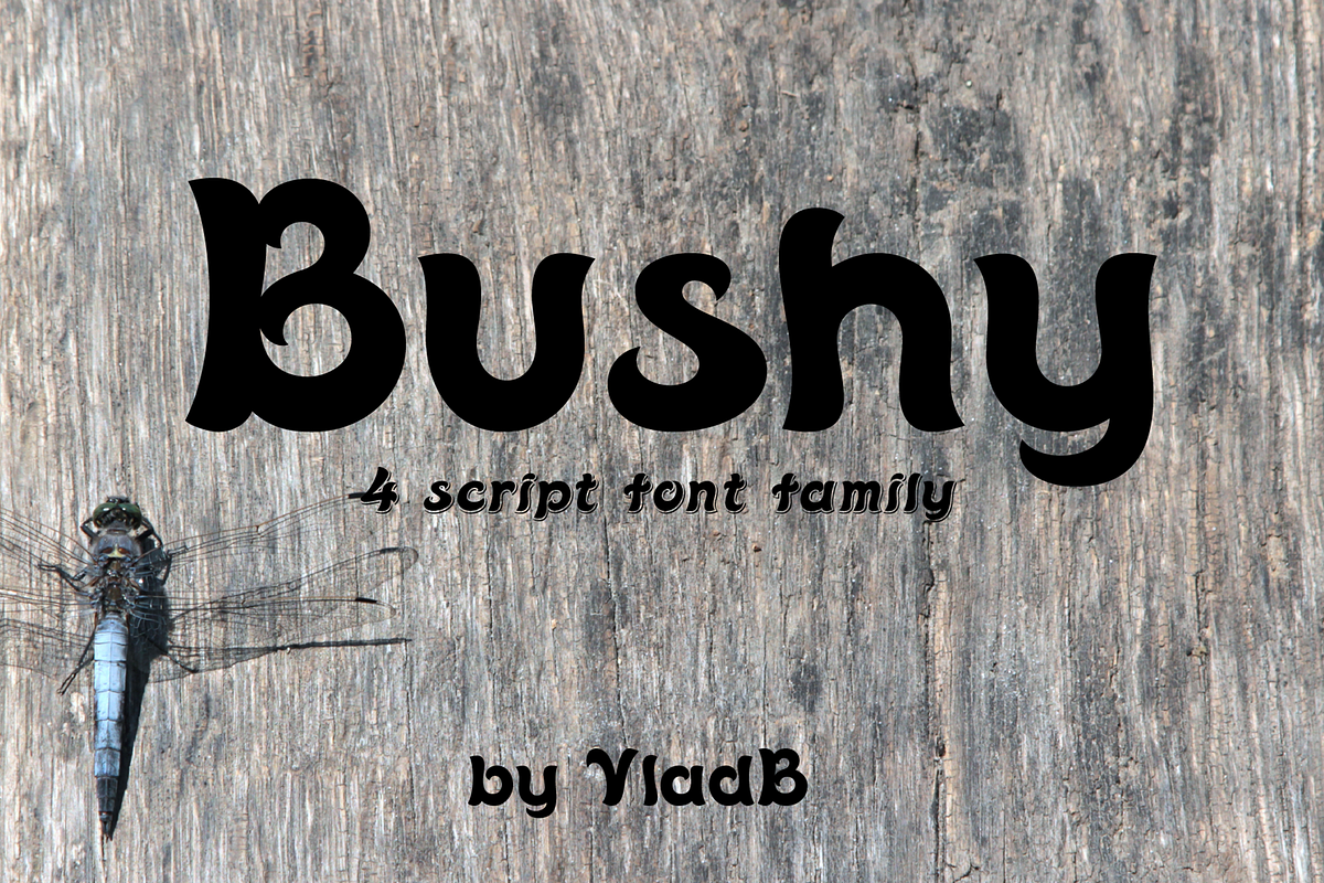 Bushy font family, a Script Font by vlad.berla (Photo 2 of 12)