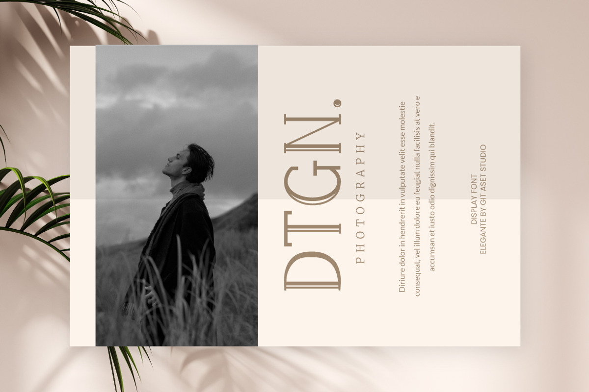 Elegante - Elegant Serif Font, a Slab Serif Font by gitasetstudio (Photo 6 of 6)