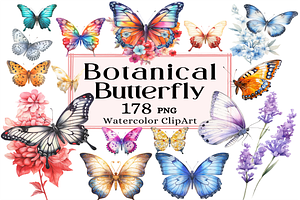 Botanical Butterfly Clipart Decor