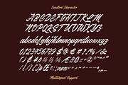 Canlord - Brush Font, a Script Font by Novitype (Thumbnail 11 of 11)