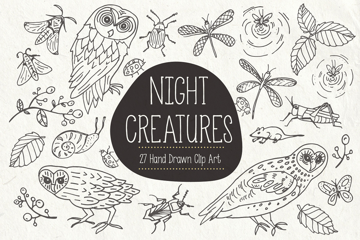 Night Creatures - Owl Clipart Vector, an Object Graphic by The Pen and Brush (Photo 1 of 7)