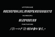 Cerras font, a Serif Font by VectorCraft (Thumbnail 3 of 4)