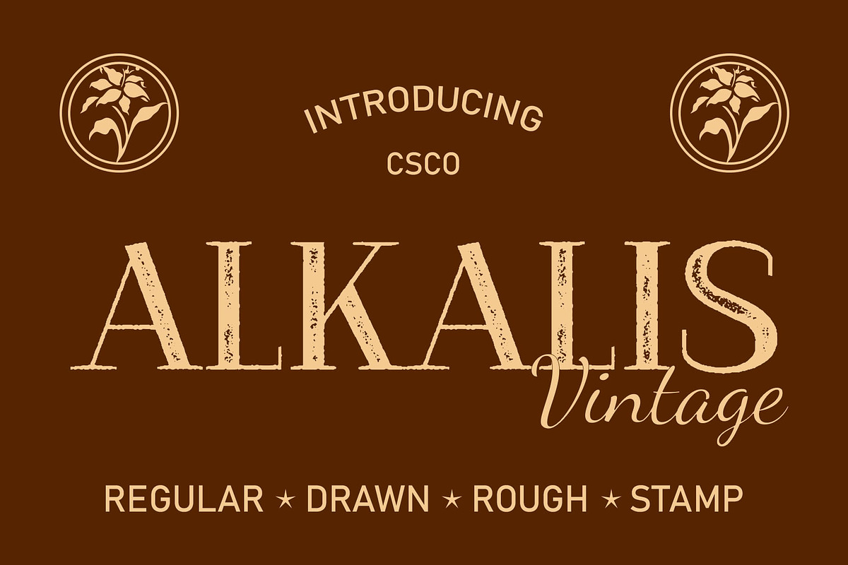 Alkalis Vintage, a Serif Font by Craft Supply Co. (Photo 1 of 8)
