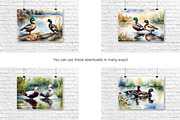 Watercolor Duck Pond Set 1, an Animal Illustration by Kat's Artful Creations (Thumbnail 2 of 9)