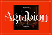 Agrabion - Elegant & Stylish Serif, a Serif Font by RockboyStd (Thumbnail 1 of 12)