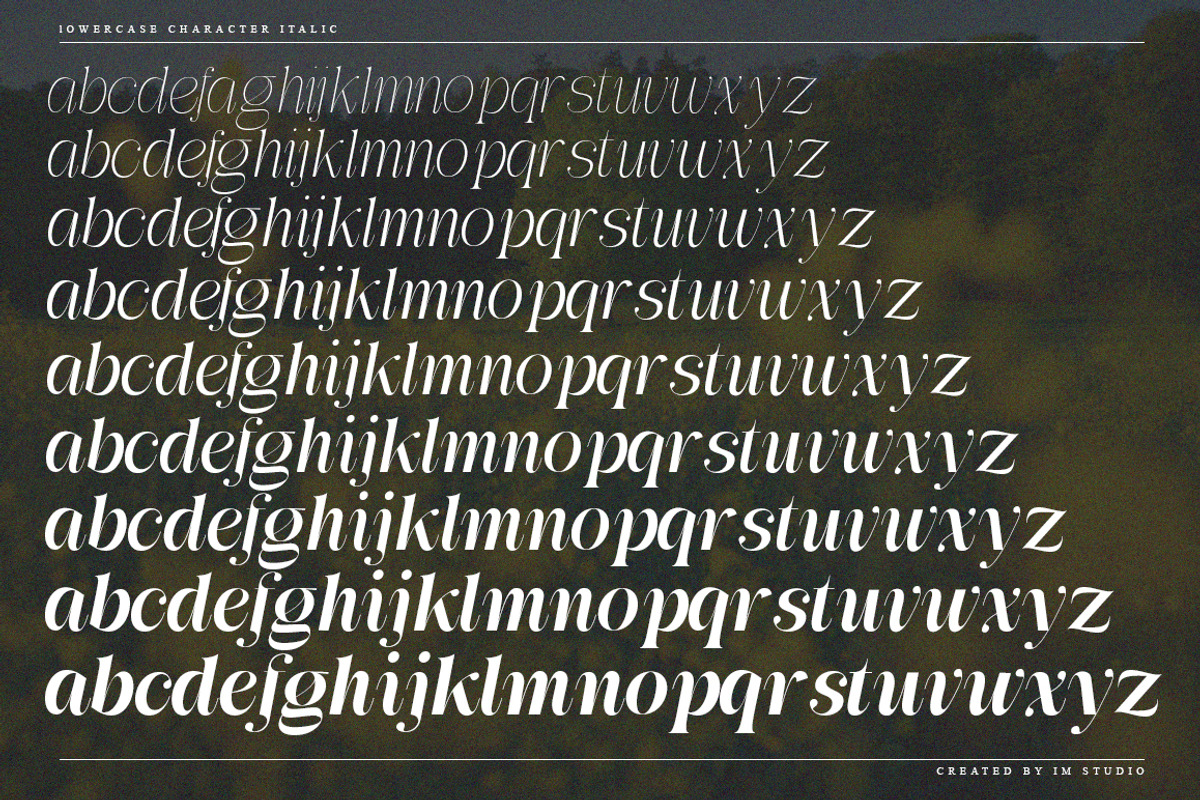 Awesome Gulgina | 18 Style Font, a Serif Font by IM Studio (Photo 14 of 15)