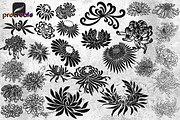 53 Chrysanthemums Stamp Brushes, a Brush Add-On by TheWhiteCatLab (Thumbnail 3 of 4)