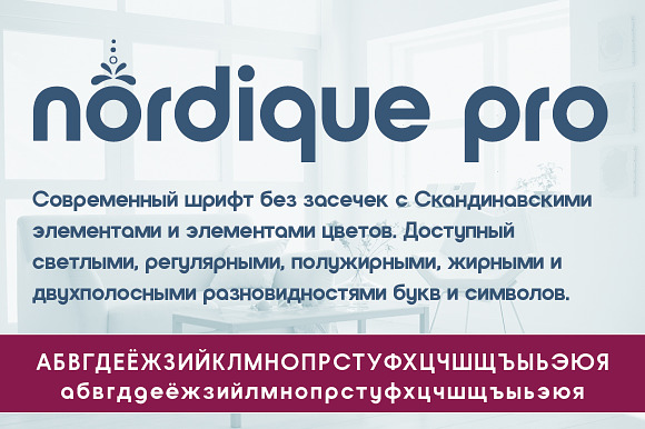 Nordique Pro Cyrillic Bold preview 5