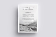 J U N I P E R  Flyer Template, a Flyer Template by 46&2 Collective (Thumbnail 8 of 11)