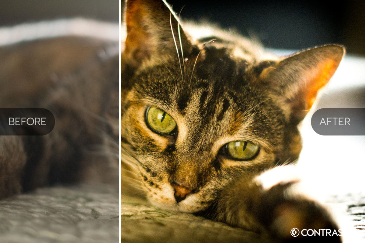 Lomography Lightroom Presets, a Plug-in Add-On by Contrastly Shop (Photo 4 of 4)