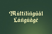 Magnefico Blackletter Typeface, a Blackletter Font by Heinzel Std (Thumbnail 11 of 16)