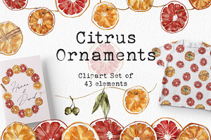 Watercolor Citrus Ornaments Clipart