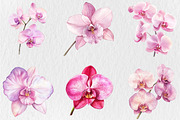 Watercolor Pink Orchid Clipart, a Seasonal Illustration by Rose Art (Thumbnail 3 of 6)