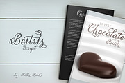 Beitris Script, a Script Font by banks (Thumbnail 7 of 15)