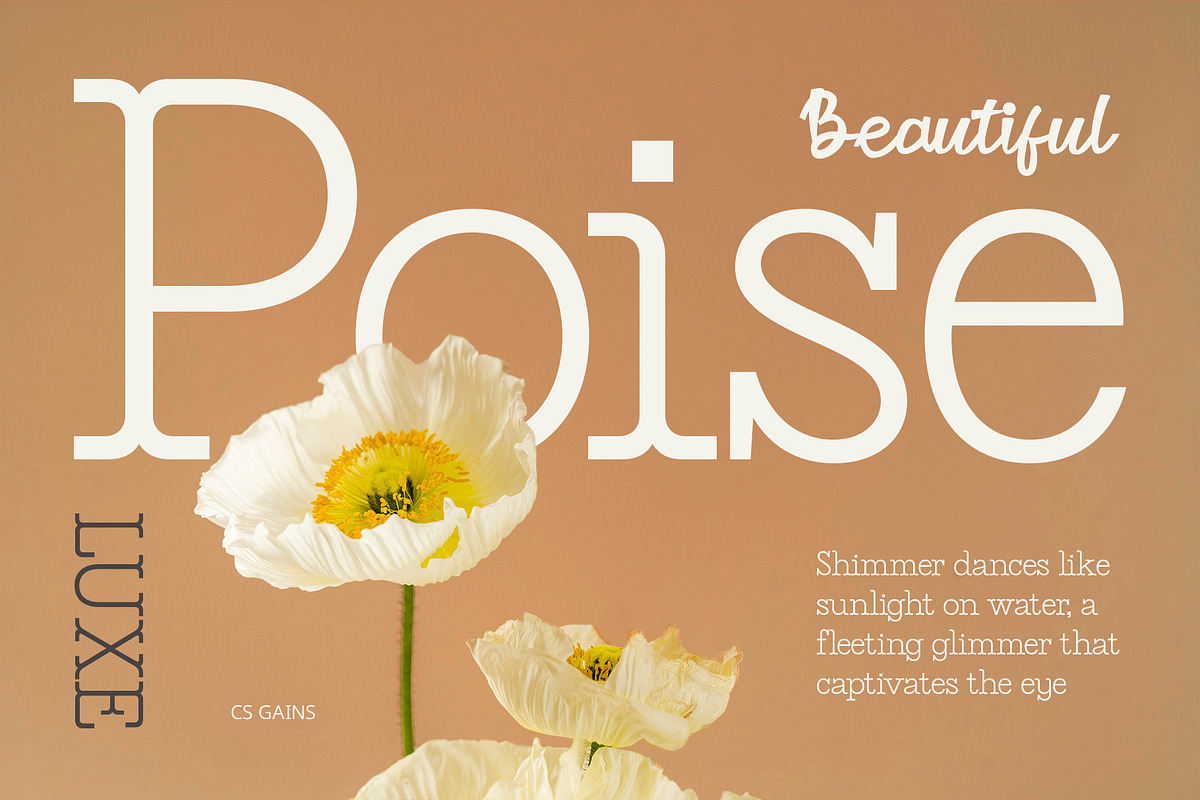 CS Gains – Classic Font, a Serif Font by Craft Supply Co. (Photo 6 of 8)
