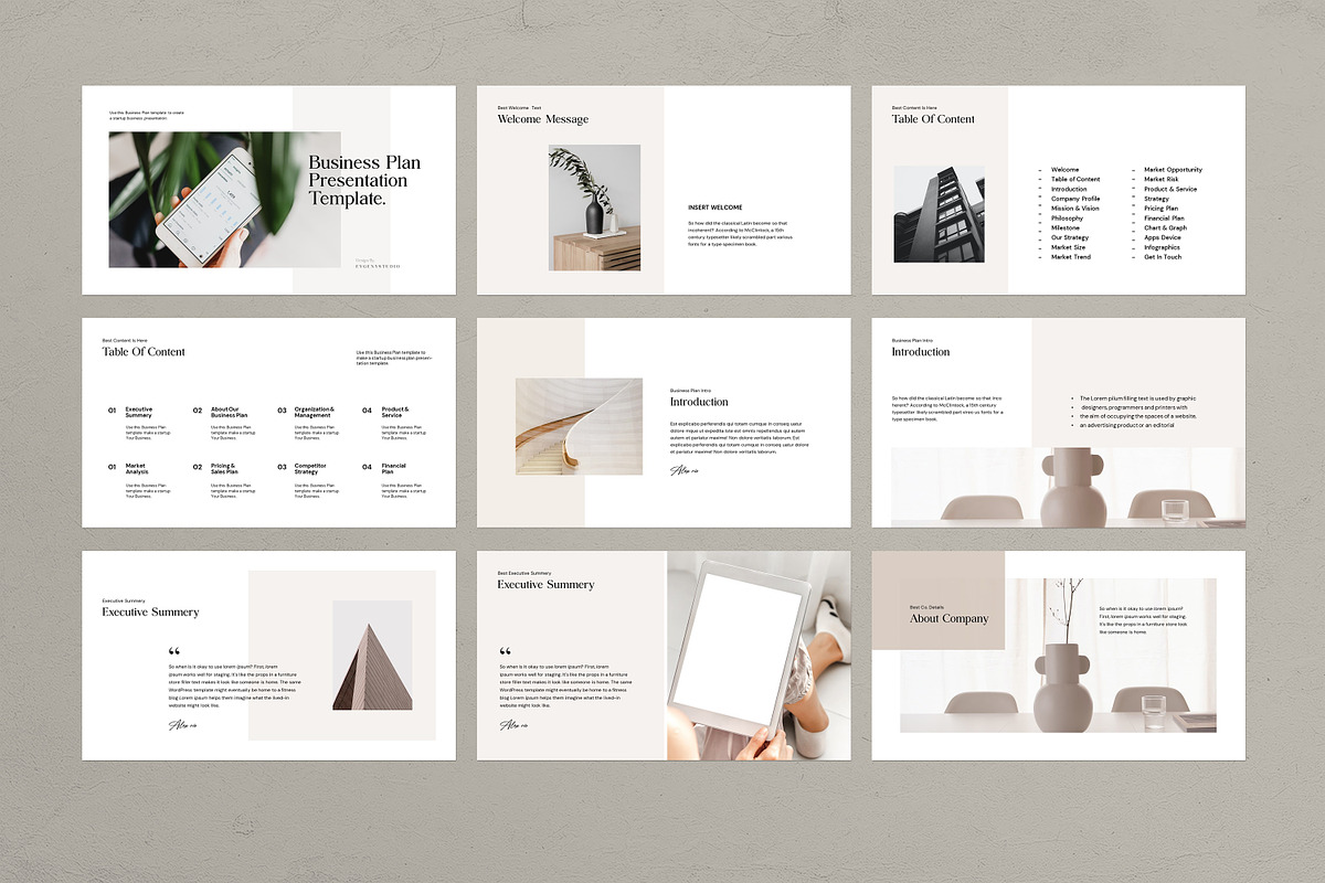 Business Plan PowerPoint Template, a Presentation Template by evgenystudio (Photo 6 of 17)