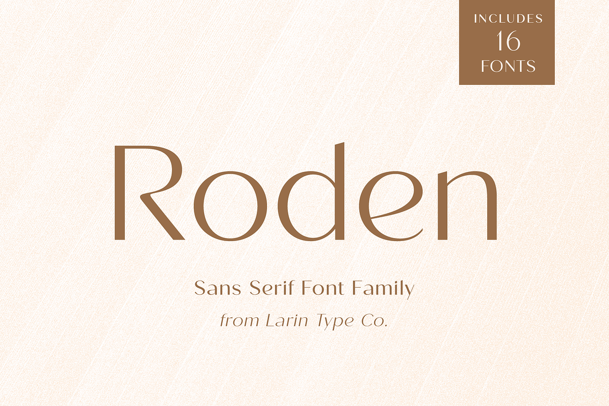 Roden, a Sans Serif Font by Larin Type Co. (Photo 1 of 15)