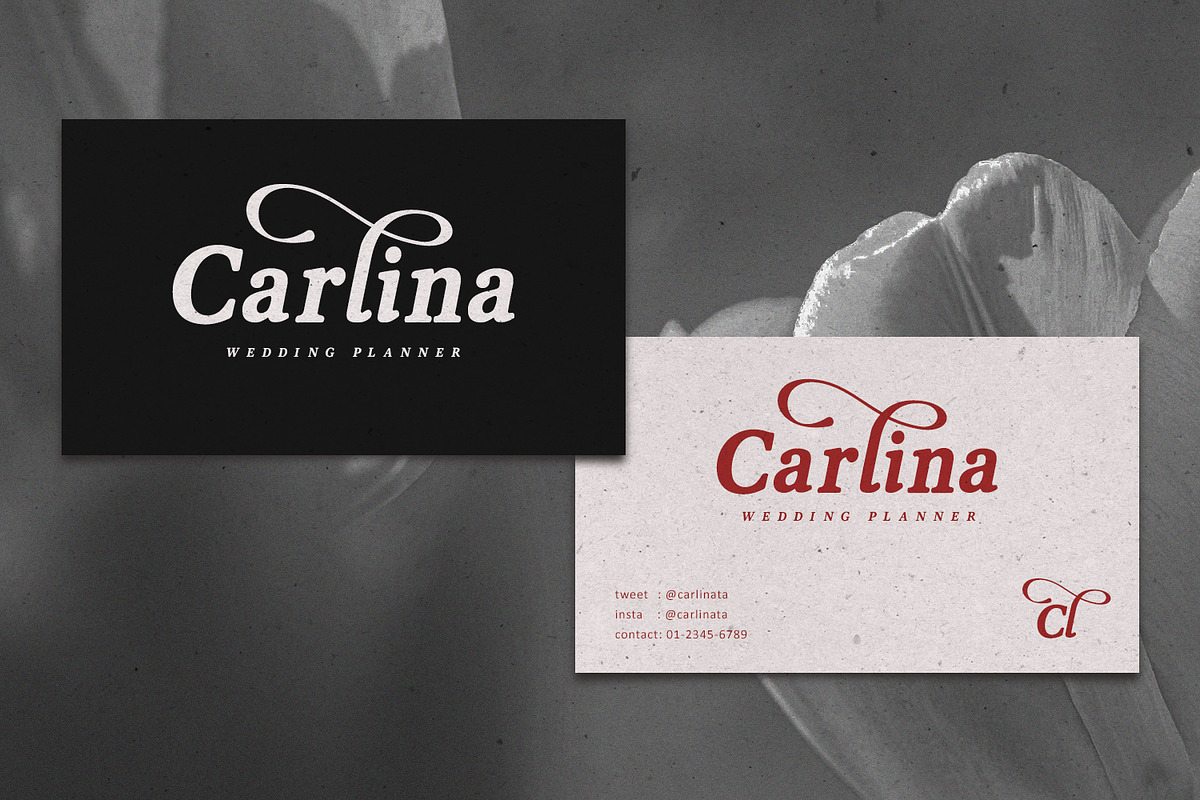 Vanielst Elegant Serif Stylistic, a Serif Font by Maulana Creative (Photo 3 of 7)