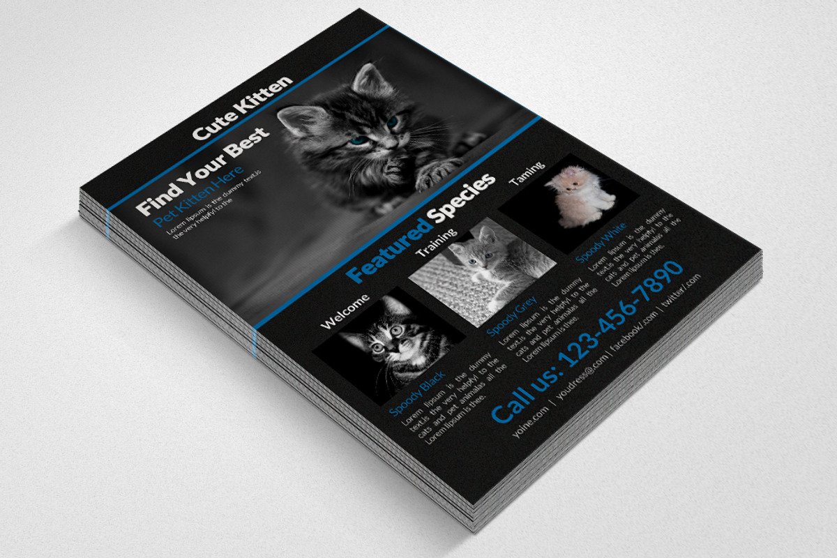 Pet Shop Flyer Templets, a Flyer Template by Psd Templates (Photo 3 of 3)