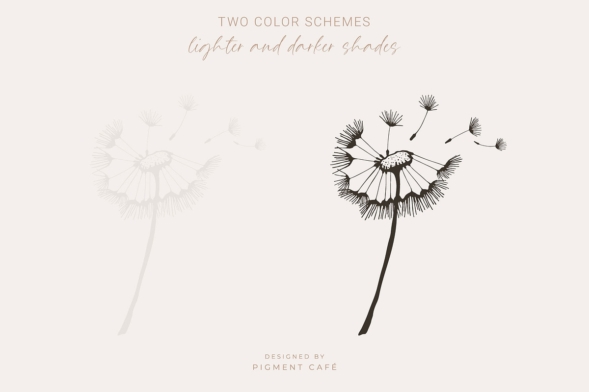 Artistic Dandelion Sketches, a Decorative Illustration by Pigment Café (Photo 3 of 6)