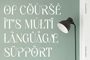 Ezanity Rough, a Serif Font by Craft Supply Co. (Thumbnail 7 of 8)