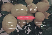 Billion Brush, a Handwritten Font by Gatype (Thumbnail 7 of 8)