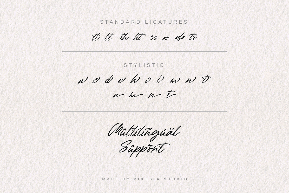 Barlouth - Modern Handwritten Font, a Script Font by Pixesia Studio (Photo 11 of 11)