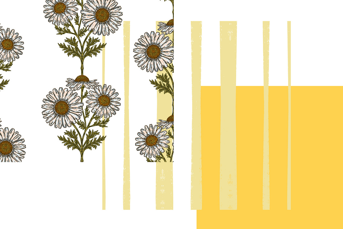 wild daisy botanical stripe, a Pattern Graphic by NayaChu (Photo 6 of 10)