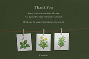 Herbal Apothecary Brand Kit, a Healthcare Illustration by AnitaPol (Thumbnail 18 of 18)