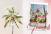 Faloney Script - Handwritten Font, a Script Font by StringLabs (Thumbnail 8 of 11)