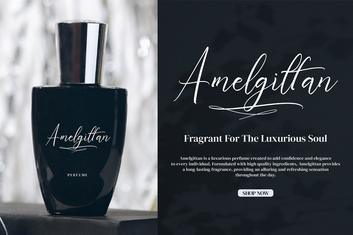 Whitesnight, a Script Font by Goresan Studio (Photo 3 of 15)