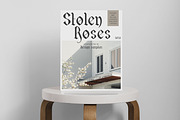 Stolen Roses Font + BONUS FONT, a Blackletter Font by Design Surplus (Thumbnail 2 of 4)