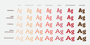 Rogliano Pro, a Slab Serif Font by Untype (Thumbnail 2 of 26)