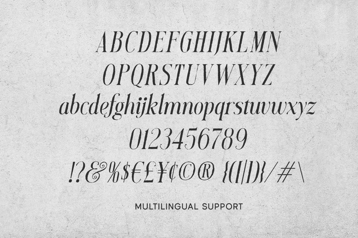 Mirellow White Distressed Serif, a Serif Font by Letterhend Studio (Photo 13 of 13)