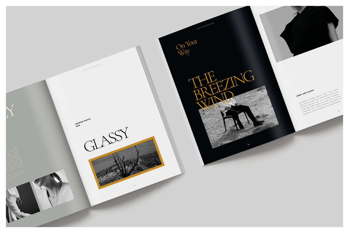 DELIOR Editorial Lookbook, a Magazine Template by Arif Tri Ananta (Photo 4 of 14)