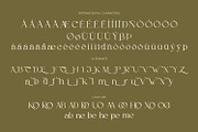 Gineby - Serif Typeface Font, a Serif Font by Rishsketch (Thumbnail 15 of 16)