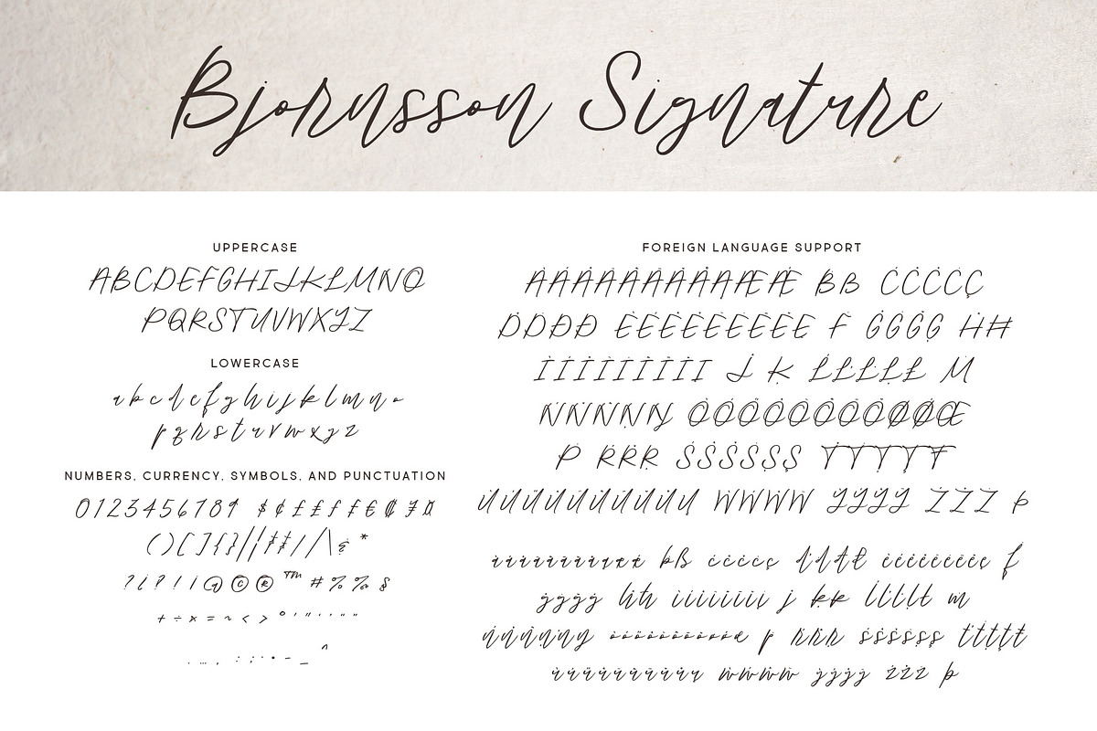 Bjornsson Signature, a Script Font by Brittney Murphy Design (Photo 2 of 3)