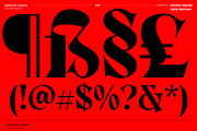Consta - Premium Serif Font, a Serif Font by Identy Studio (Thumbnail 12 of 18)
