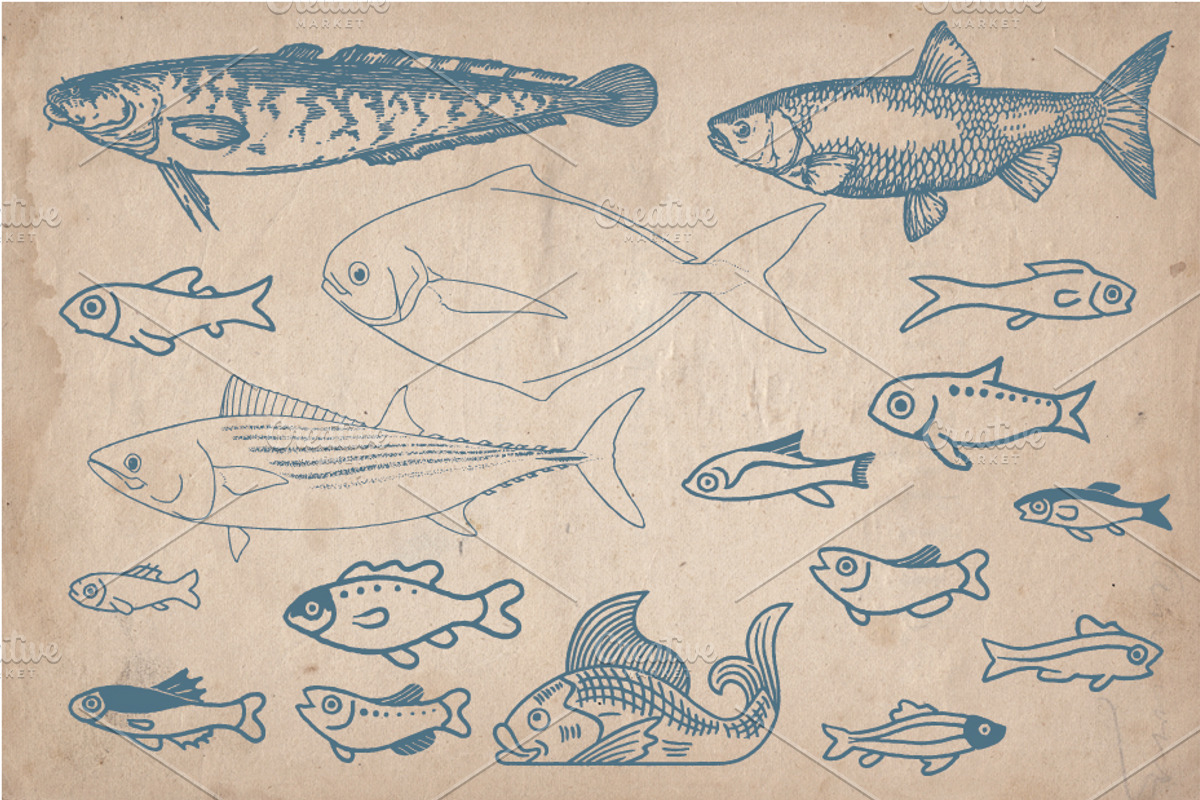 58 Vintage Hand Drawn Fish, a Food Illustration by Mr Vintage (Photo 4 of 5)