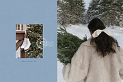 110 Aesthetic Winter Stock Photos, a Nature Photo by Trissa (Thumbnail 3 of 12)